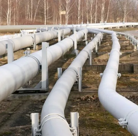 A.Videanu: România va avea o cotă de profit de pe urma gazoductului Nabucco de un miliard de euro
