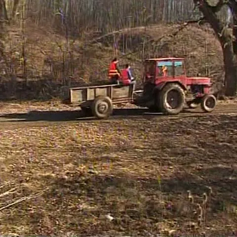 Ţiriac a renunţat la jumătate din fondul de vânătoare de la Balc