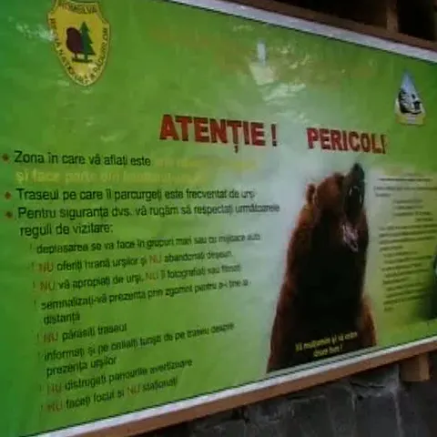 Doi turişti maghiari au fost atacaţi de urs miercuri noapte 