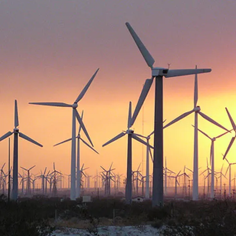 Green Energy şi-a amânat proiectul parcului eolian de 200MW din Tulcea, din cauza legislaţiei