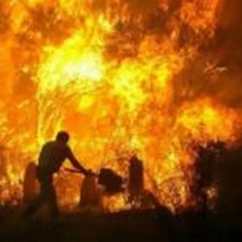 O persoană a murit şi 5.000 de hectare au fost distruse în Spania în urma unui incendiu
