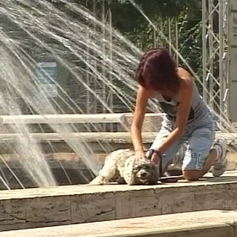 Caniculă în Câmpia de Vest, Câmpia Română şi estul Moldovei începând de astăzi