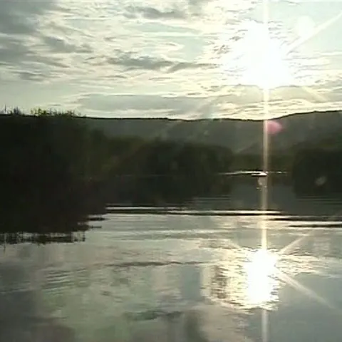 Lacul Ştiucii, Cluj-Napoca, este o mică deltă din mijlocul Transilvaniei