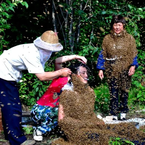 Un cuplu de chinezi s-a căsătorit în haine realizate din albine vii 
