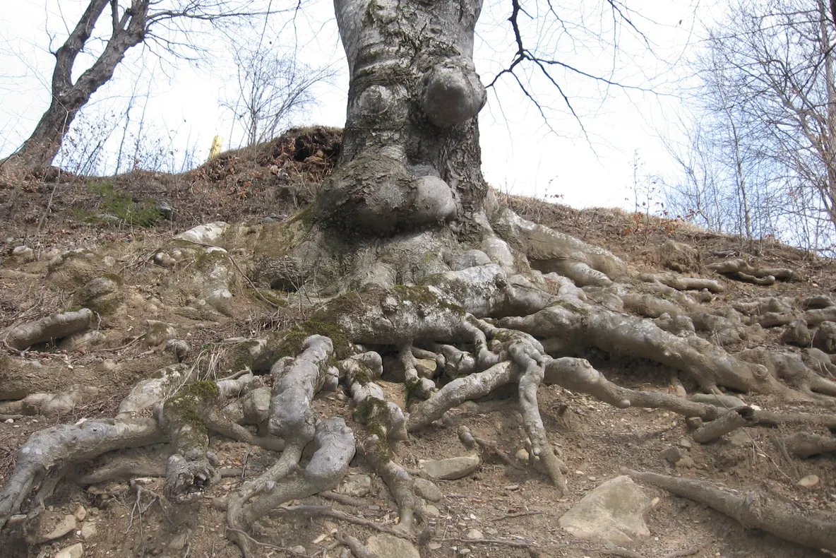 Cascada Putnei