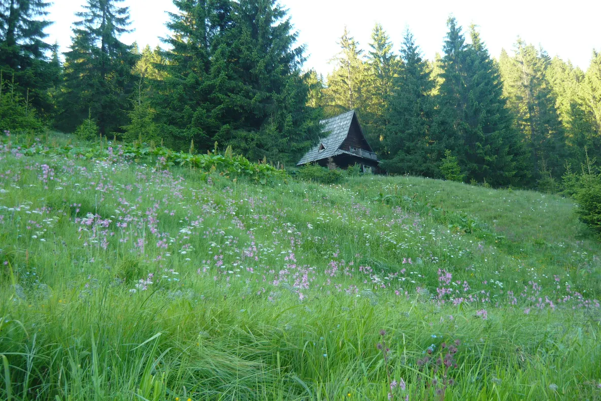 Cheile Bicazului,  Lacul Rosu