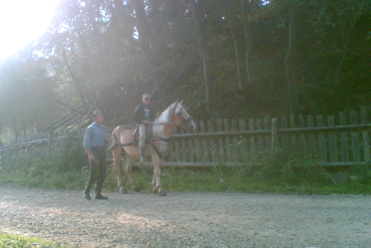 Bucovina