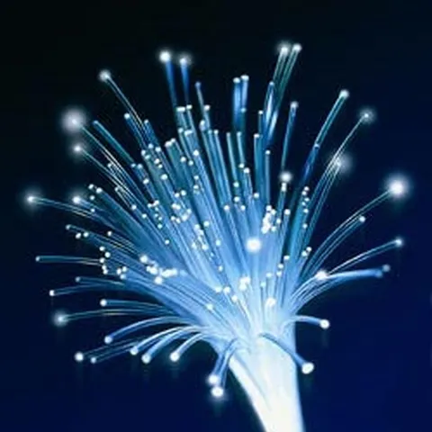 Japonezii vor fi conectaţi de fibră optică cu o viteză de 30 de terabits pe secundă