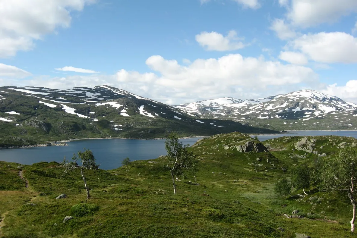 Norvegia