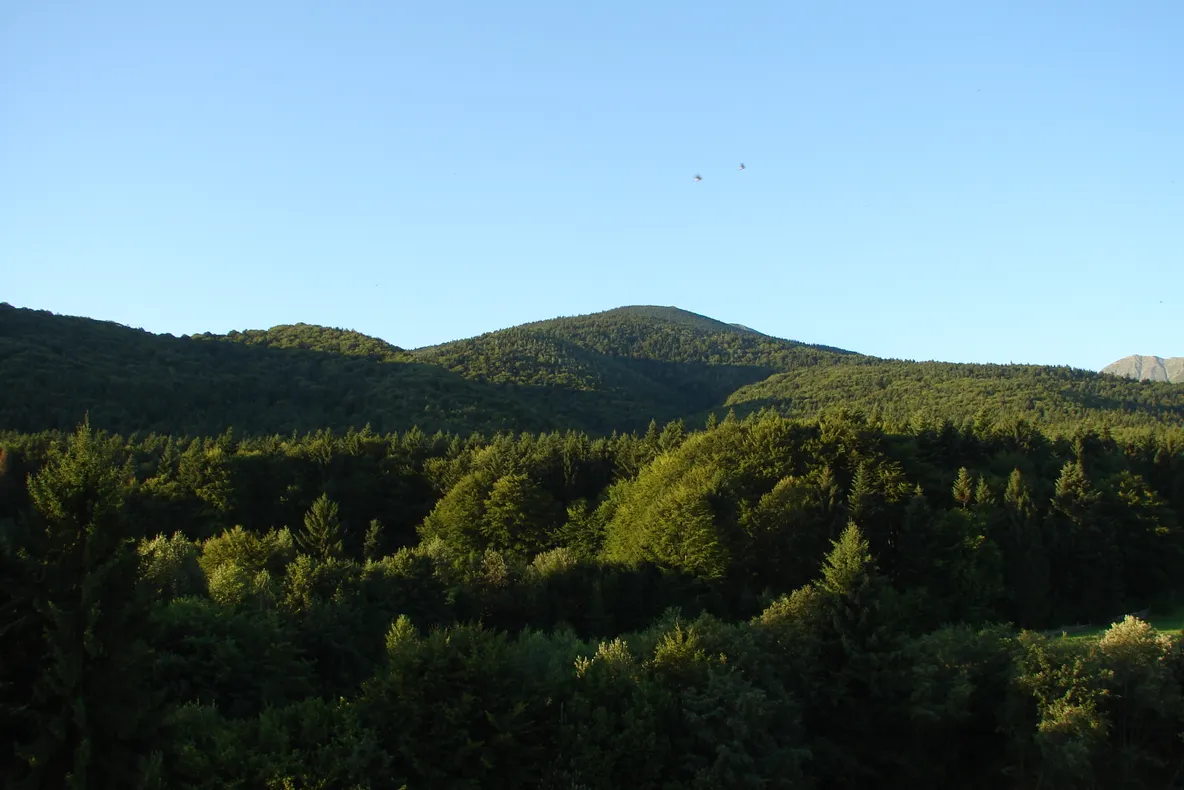 Muntii Apuseni