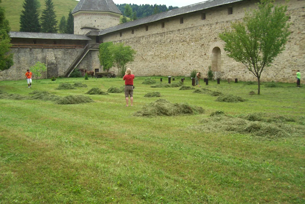 Bucovina