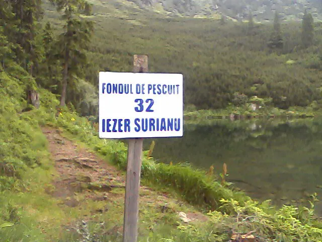 Vacanta