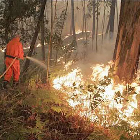 4.000 de oameni au fost evacuaţi de pe insula spaniolă La Palma din cauza unui incendiu de pădure