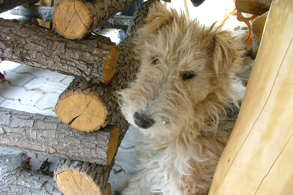 Vacanţă 2009
