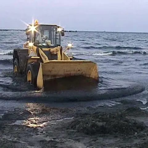 Cutremurul de săptămâna trecută a umplut de alge litoralul românesc 