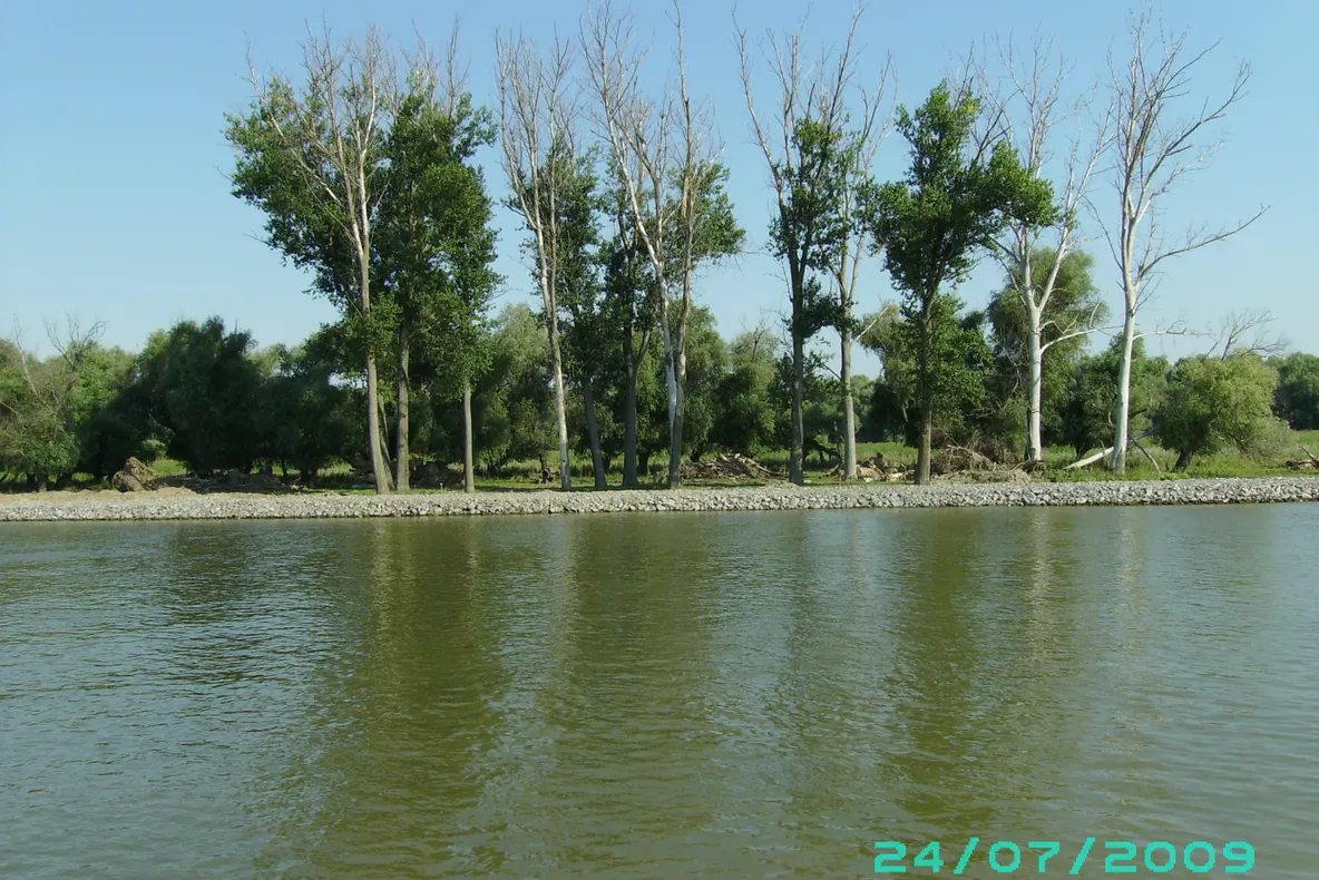 Delta Dunării