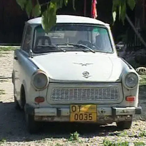 Un primar din Olt a înmatriculat mai multe maşini cu numere de căruţe
