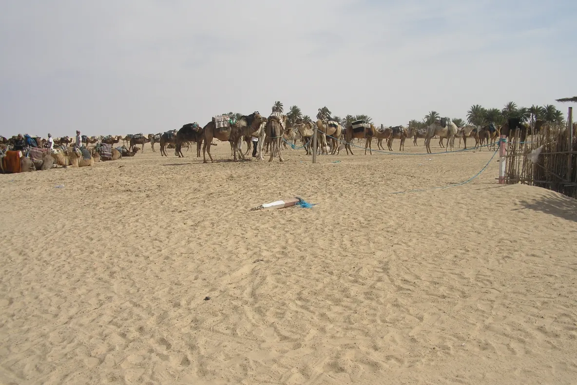 Tunisia