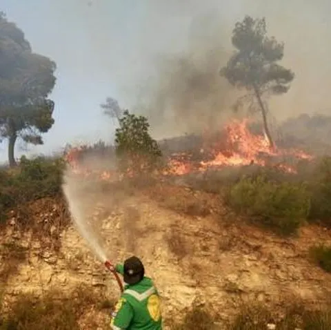 Două incendii majore se înregistrează lângă Atena