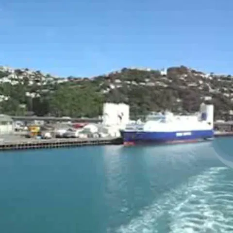 Stăpânul inelelor: A găsit inelul de logodnă al iubitei după 16 luni de căutări în apele din portul Wellington