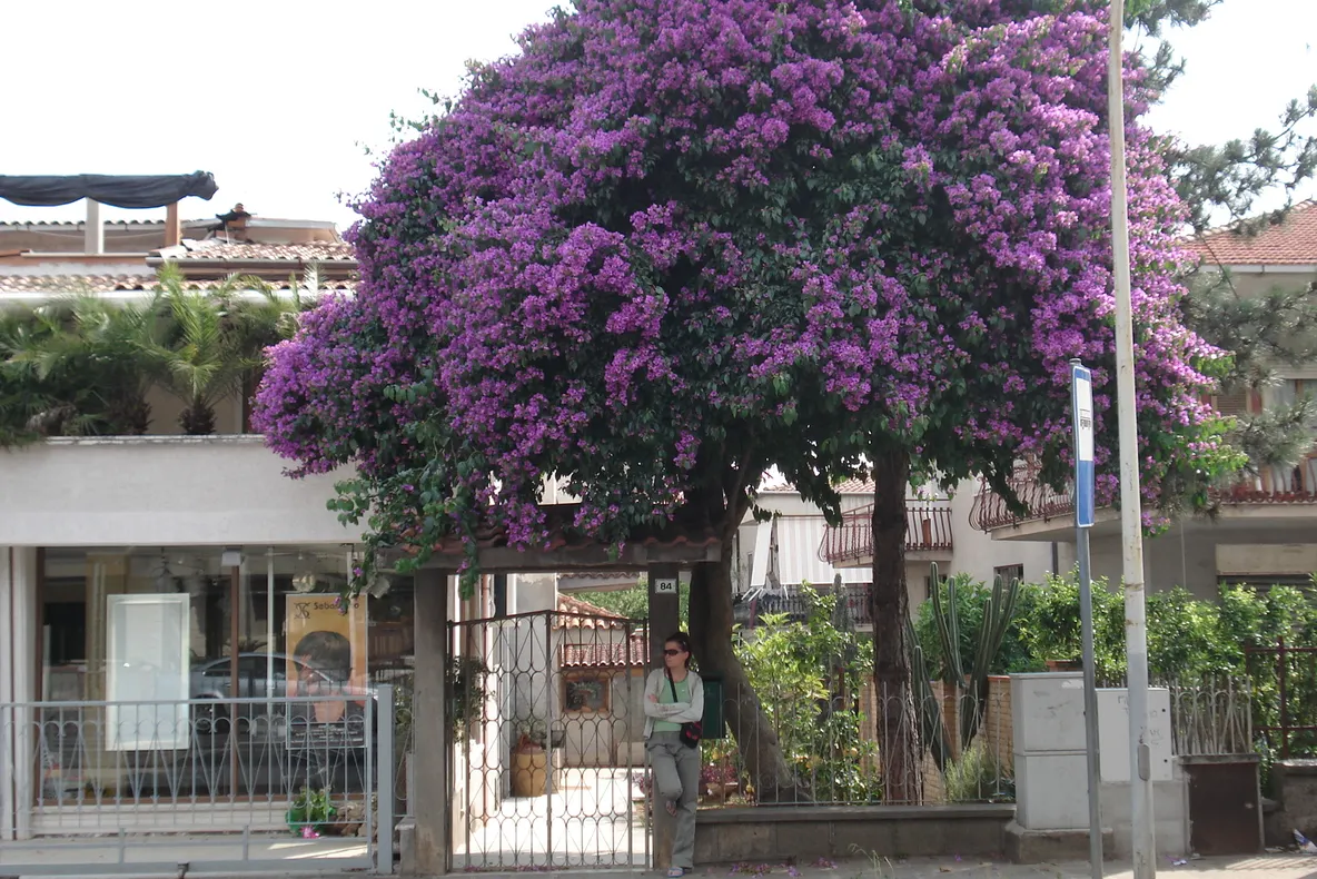 Italia