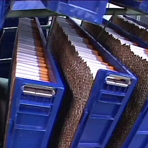 Philip Morris va plăti daune de 13,8 milioane de dolari fiicei unei fumătoare 