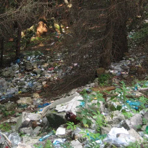 Ecologiştii acuză primăria Sinaia de dezinteres în problema gunoaielor aruncate în natură