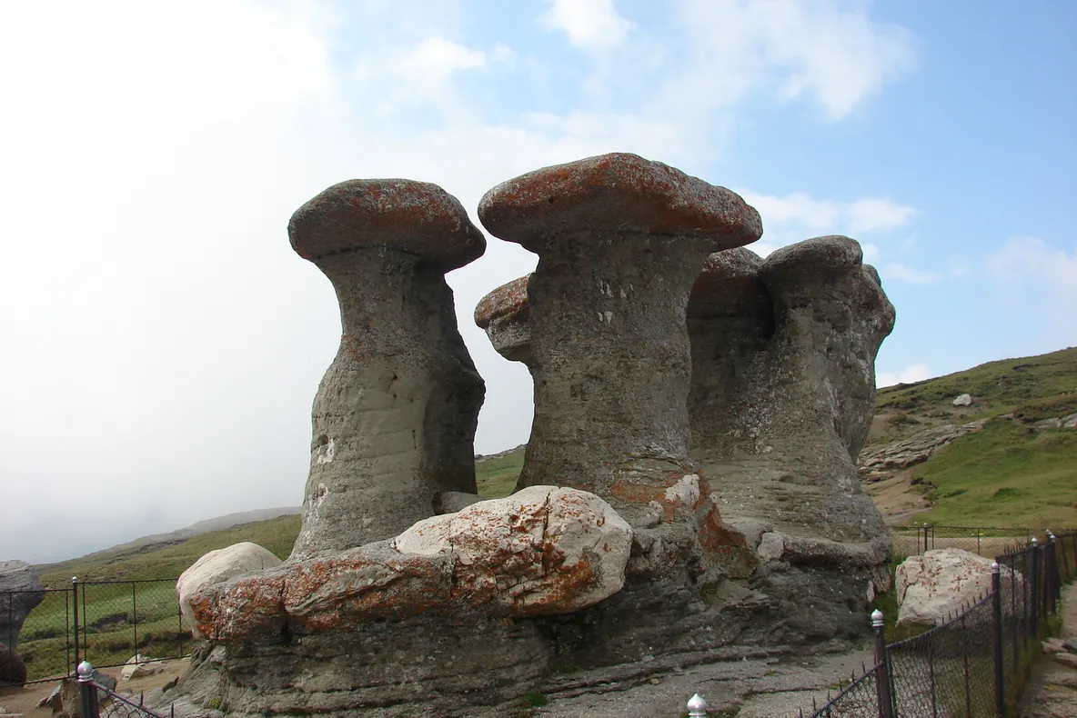 BUȘTENI