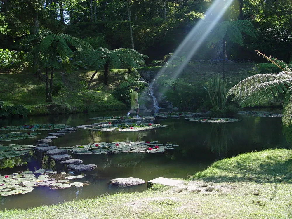 Furnas