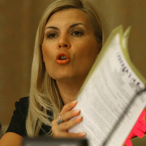 Udrea: Se încearcă cu orice preţ să mi se găsească ceva penal