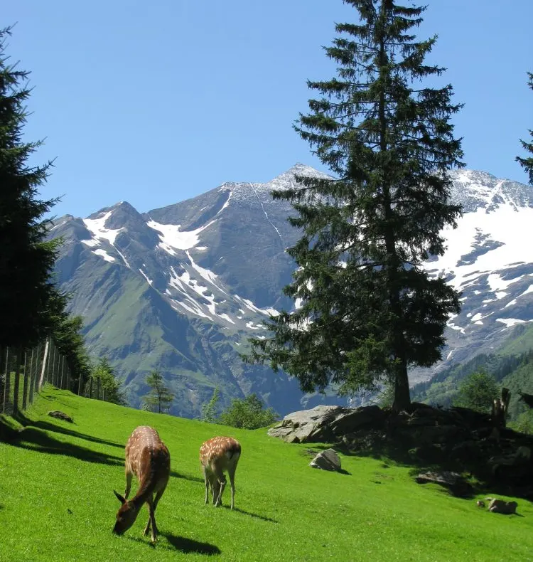Austria