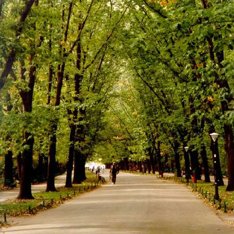Aleea \"Michael Jackson\", inaugurată sâmbătă în Parcul Herăstrău. Cum comentaţi?