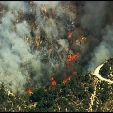 Incendiile de pădure fac ravagii în sudul Californiei 