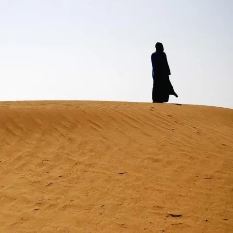 Cum se poate transforma Sahara într-o mare pădure