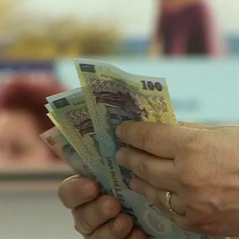 Moneda naţională s-a devalorizat constant în ultima perioadă