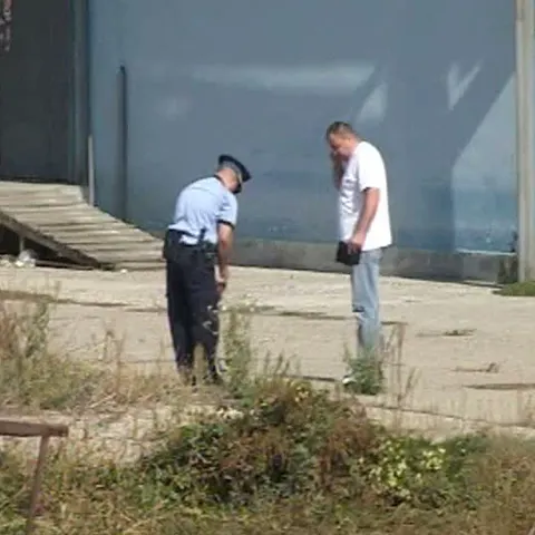 Rămăşiţele unui bebeluş sfâşiat de câini, descoperite în curtea unei fabrici din Bacău