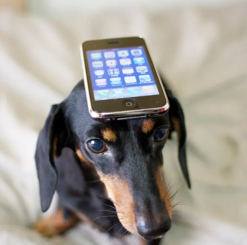 Date Check, prima aplicaţie de iPhone care îţi permite să îţi spionezi perechea