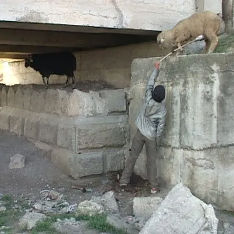 Mii de copii din judeţul Vaslui au abandonat şcoala  