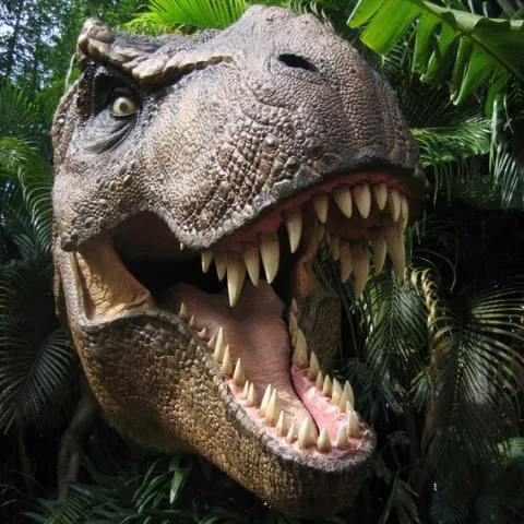 Cel mai mare T. Rex descoperit până acum, Sue, a fost ucisă de un parazit care traieşte şi astăzi