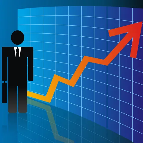 Raport FMI: Economia României revine pe plus în 2010