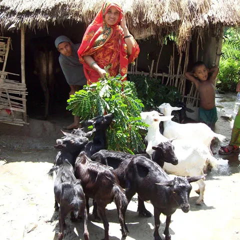 Vacanţă de lux în India: sejur cu cerşetorii