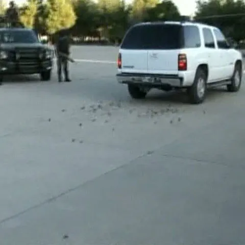 Un traficant de droguri din Mexic scăpa de poliţişti împrăştiind pe şosea cuie şi pioneze