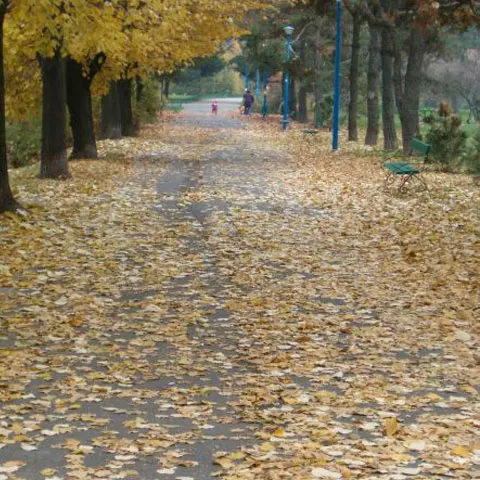 Răcirea vremii continuă în toată ţara. VEZI AICI PROGNOZA METEO