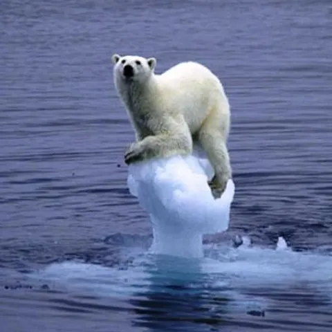 Omenirea are 50% şanse să scape de efectele catastrofice ale încălzirii globale
