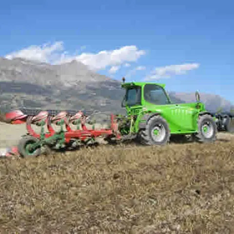 Agricultura românească nu a accesat niciun ban din Fondul european de intervenţie pentru criză