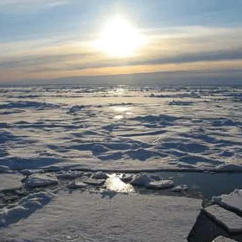 Calota arctică s-ar putea topi complet pe timp de vară în 20-30 de ani