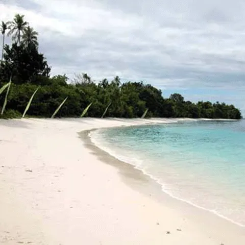 Cutremur cu magnitudinea de 7,3 pe scara Richter în Indonezia