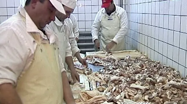 Oamenii de ştiinţă olandezi au reuşit în premieră să creeze carne artificială