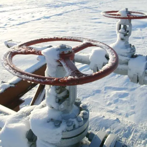 Marilor consumatori le-ar putea fi sistată livrarea de gaze, în cazul unei noi crize a gazelor