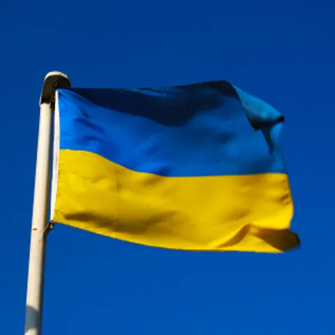 Ucraina vrea închiderea unor puncte de frontieră cu România, din cauza gripei porcine